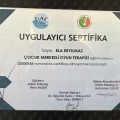 Resmi büyüt: certificate 5