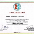 Resmi büyüt: certificate 3