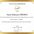 Resmi büyüt: certificate 30