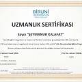 Resmi büyüt: certificate 4