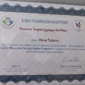 Resmi büyüt: certificate 7
