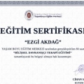 Resmi büyüt: certificate 4