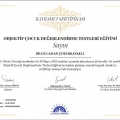 Resmi büyüt: certificate 15