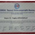 Resmi büyüt: certificate 3