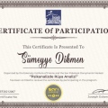 Resmi büyüt: certificate 6