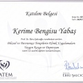 Resmi büyüt: certificate 3