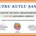 Resmi büyüt: certificate 7