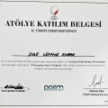 Resmi büyüt: certificate 11