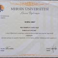 Resmi büyüt: certificate 1