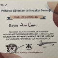 Resmi büyüt: certificate 2