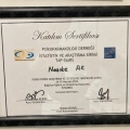 Resmi büyüt: certificate 5