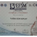Resmi büyüt: certificate 16