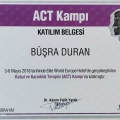 Resmi büyüt: certificate 5