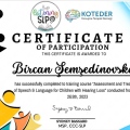 Resmi büyüt: certificate 2