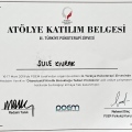 Resmi büyüt: certificate 8