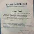 Resmi büyüt: certificate 11