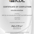Resmi büyüt: certificate 5