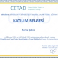 Resmi büyüt: certificate 7