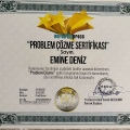 Resmi büyüt: certificate 12