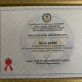 Resmi büyüt: certificate 36