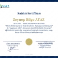 Resmi büyüt: certificate 1
