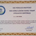 Resmi büyüt: certificate 8
