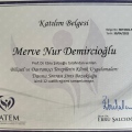 Resmi büyüt: certificate 13