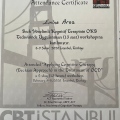 Resmi büyüt: certificate 12