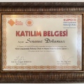 Resmi büyüt: certificate 5