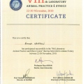 Resmi büyüt: certificate 8