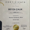 Resmi büyüt: certificate 1