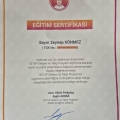 Resmi büyüt: certificate 14