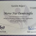 Resmi büyüt: certificate 6