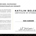 Resmi büyüt: certificate 3