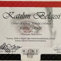 Resmi büyüt: certificate 4