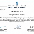 Resmi büyüt: certificate 14