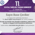 Resmi büyüt: certificate 1