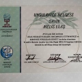Resmi büyüt: certificate 26