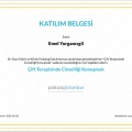 Resmi büyüt: certificate 1