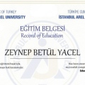 Resmi büyüt: certificate 3