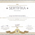 Resmi büyüt: certificate 4
