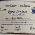 Resmi büyüt: certificate 13