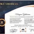 Resmi büyüt: certificate 3
