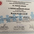 Resmi büyüt: certificate 29
