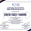 Resmi büyüt: certificate 9
