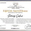 Resmi büyüt: certificate 14