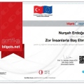 Resmi büyüt: certificate 10