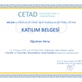 Resmi büyüt: certificate 5