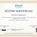 Resmi büyüt: certificate 1