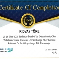 Resmi büyüt: certificate 2
